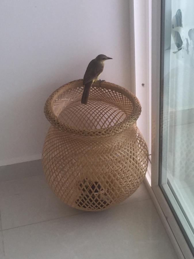 Areia Paradaise Apartamento