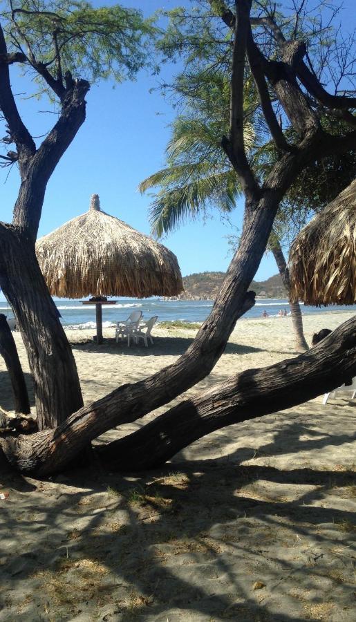 Areia Paradaise *